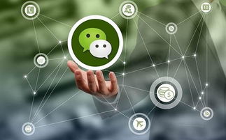 微信社群商業(yè)模式網(wǎng)絡(luò)營(yíng)銷(xiāo)思路