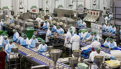 攜手佛山專業污水處理廠家，為食品廠定制高效化污水凈化工程方案，協同霧炮車構建全方位環保屏障